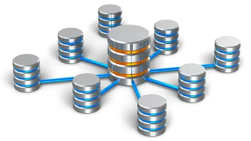 Database Migration