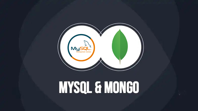 MySQL & MongoDB