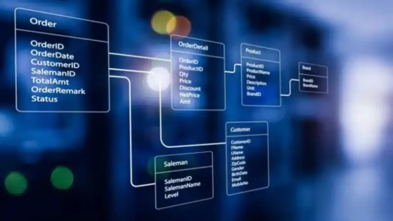 How Is Data in a Relational Database System Organized