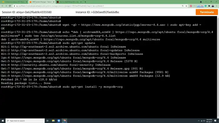 install MongoDB on your Ubuntu system