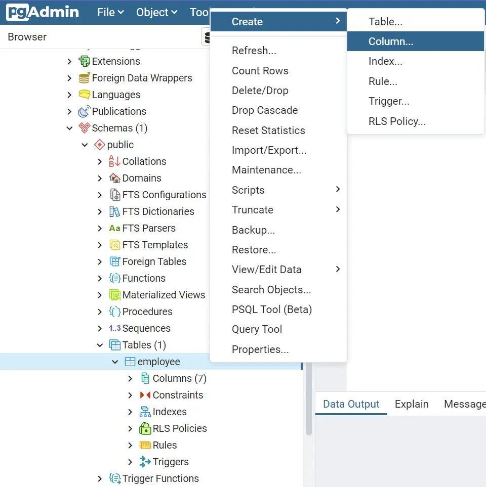 Adding Columns Via pgAdmin GUI