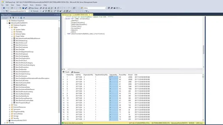 SQL Projects for Data Analyst Portfolio | Steps to Develop Skillset