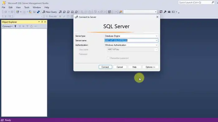 Using SQL Server Management Studio