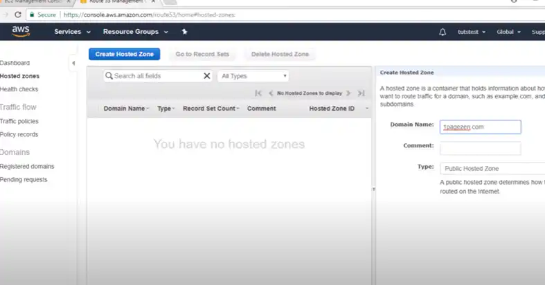 Domain Name System (DNS) Migration