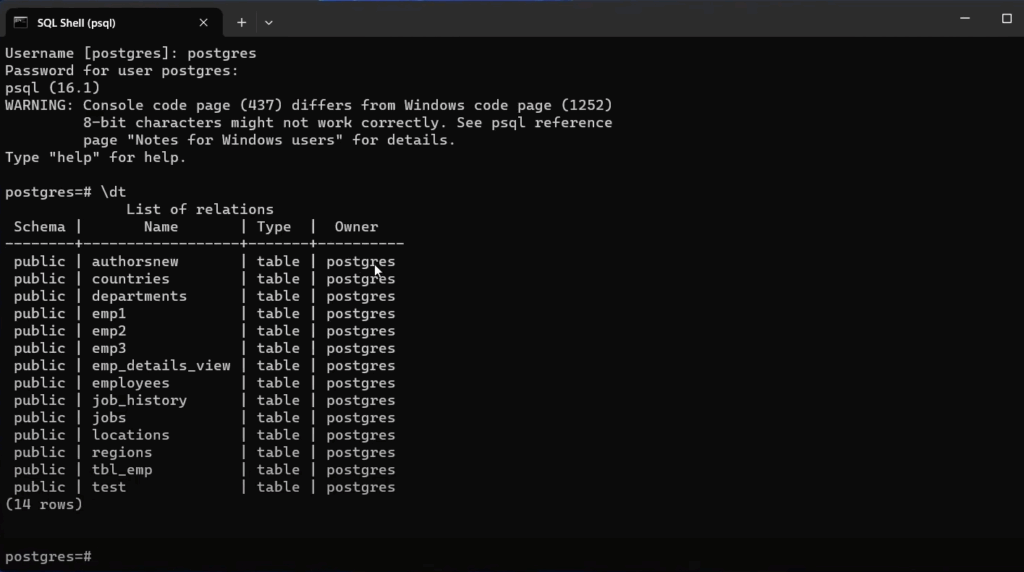 Using dt Command in psql