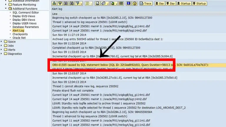 ORA-01555 Caused by SQL Statement